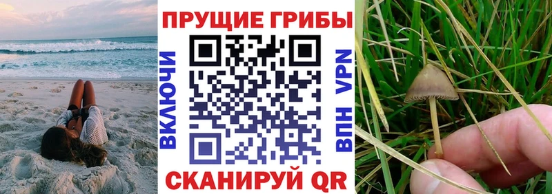Псилоцибиновые грибы мицелий  закладки  Североуральск 